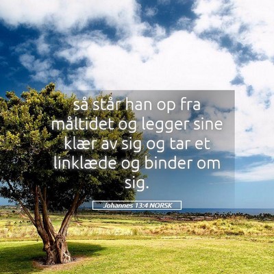 Picture 05 - Johannes 13:4 NORSK - så står han op fra måltidet og legger sine - Bible Verse Picture
