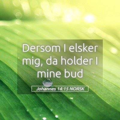 Picture 05 - Johannes 14:15 NORSK - Dersom I elsker mig, da holder I mine - Bible Verse Picture