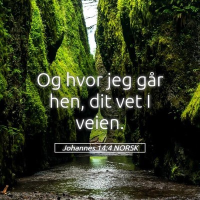 Picture 05 - Johannes 14:4 NORSK - Og hvor jeg går hen, dit vet I - Bible Verse Picture