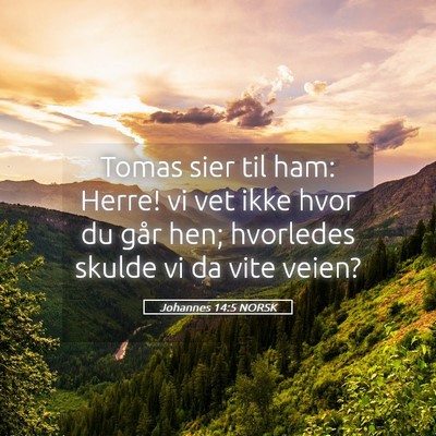 Picture 05 - Johannes 14:5 NORSK - Tomas sier til ham: Herre! vi vet ikke hvor du - Bible Verse Picture