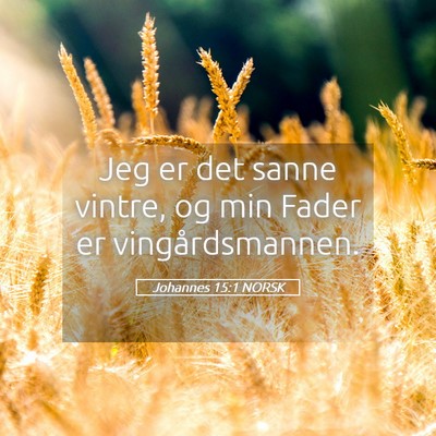 Picture 05 - Johannes 15:1 NORSK - Jeg er det sanne vintre, og min Fader er - Bible Verse Picture