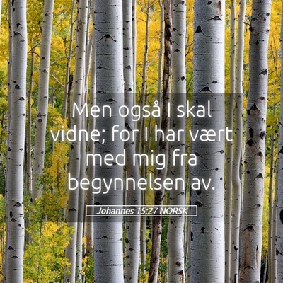 Picture 05 - Johannes 15:27 NORSK - Men også I skal vidne; for I har vært med mig - Bible Verse Picture