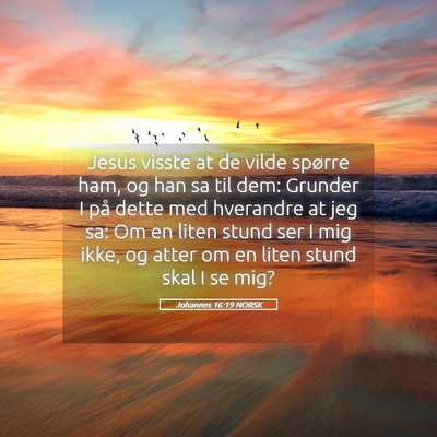 Picture 05 - Johannes 16:19 NORSK - Jesus visste at de vilde spørre ham, og han sa - Bible Verse Picture