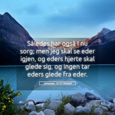 Picture 05 - Johannes 16:22 NORSK - Således har også I nu sorg; men jeg skal se - Bible Verse Picture