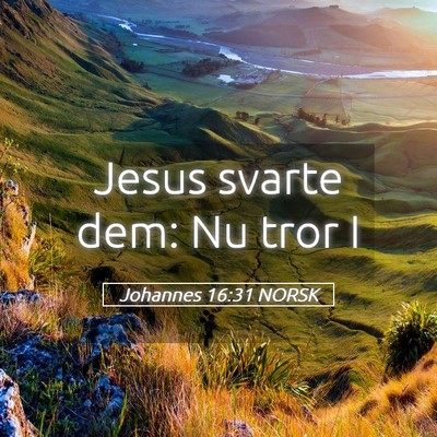 Picture 05 - Johannes 16:31 NORSK - Jesus svarte dem: Nu tror - Bible Verse Picture