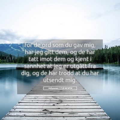Picture 05 - Johannes 17:8 NORSK - for de ord som du gav mig, har jeg gitt dem, og - Bible Verse Picture