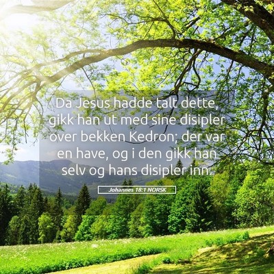 Picture 05 - Johannes 18:1 NORSK - Da Jesus hadde talt dette, gikk han ut med sine - Bible Verse Picture