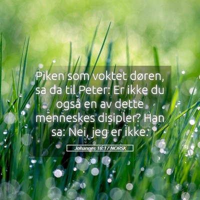 Picture 05 - Johannes 18:17 NORSK - Piken som voktet døren, sa da til Peter: Er ikke - Bible Verse Picture