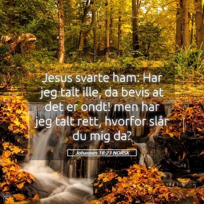 Picture 05 - Johannes 18:23 NORSK - Jesus svarte ham: Har jeg talt ille, da bevis at - Bible Verse Picture
