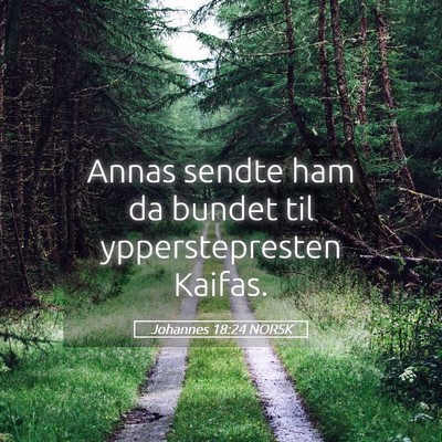 Picture 05 - Johannes 18:24 NORSK - Annas sendte ham da bundet til ypperstepresten - Bible Verse Picture