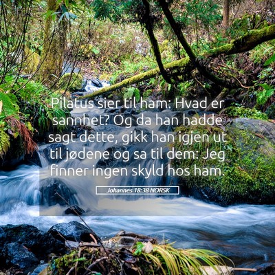Picture 05 - Johannes 18:38 NORSK - Pilatus sier til ham: Hvad er sannhet? Og da han - Bible Verse Picture