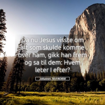 Picture 05 - Johannes 18:4 NORSK - Da nu Jesus visste om alt som skulde komme over - Bible Verse Picture