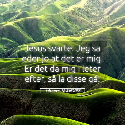 Picture 05 - Johannes 18:8 NORSK - Jesus svarte: Jeg sa eder jo at det er mig. Er - Bible Verse Picture
