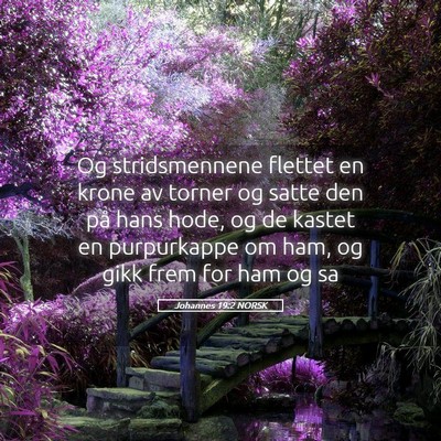 Picture 05 - Johannes 19:2 NORSK - Og stridsmennene flettet en krone av torner og - Bible Verse Picture