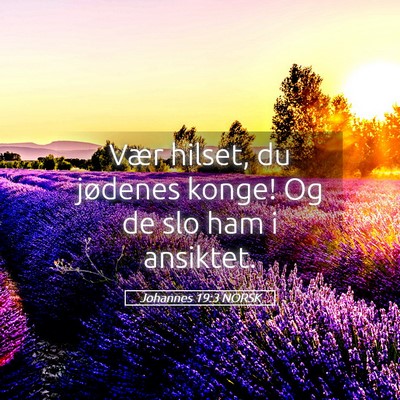 Picture 05 - Johannes 19:3 NORSK - Vær hilset, du jødenes konge! Og de slo ham i - Bible Verse Picture