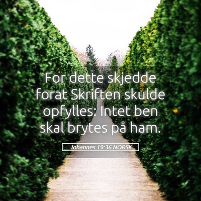 Picture 05 - Johannes 19:36 NORSK - For dette skjedde forat Skriften skulde opfylles: - Bible Verse Picture