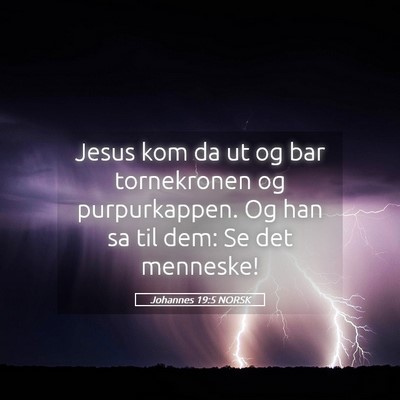 Picture 05 - Johannes 19:5 NORSK - Jesus kom da ut og bar tornekronen og - Bible Verse Picture