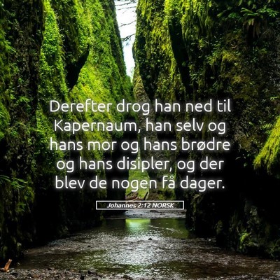 Picture 05 - Johannes 2:12 NORSK - Derefter drog han ned til Kapernaum, han selv og - Bible Verse Picture