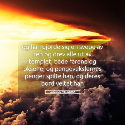 Picture 05 - Johannes 2:15 NORSK - og han gjorde sig en svepe av rep og drev alle ut - Bible Verse Picture
