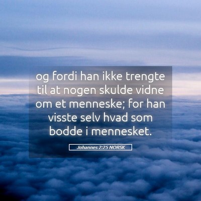 Picture 05 - Johannes 2:25 NORSK - og fordi han ikke trengte til at nogen skulde - Bible Verse Picture