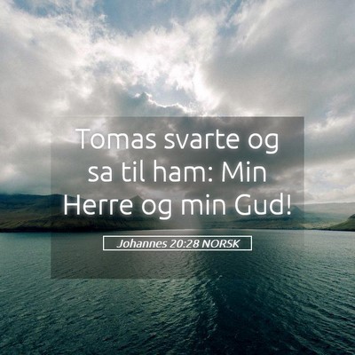 Picture 05 - Johannes 20:28 NORSK - Tomas svarte og sa til ham: Min Herre og min - Bible Verse Picture