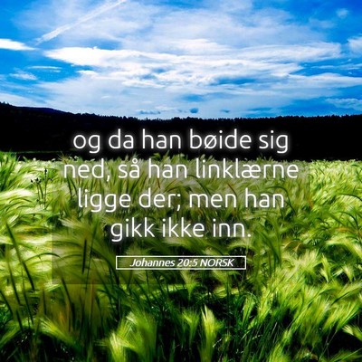 Picture 05 - Johannes 20:5 NORSK - og da han bøide sig ned, så han linklærne - Bible Verse Picture