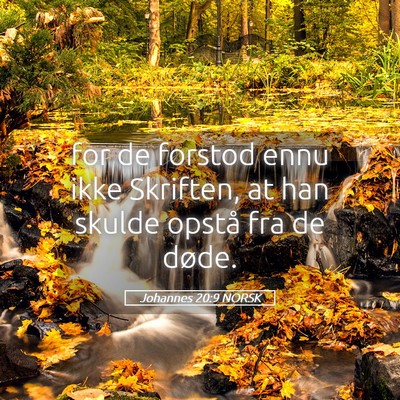Picture 05 - Johannes 20:9 NORSK - for de forstod ennu ikke Skriften, at han skulde - Bible Verse Picture