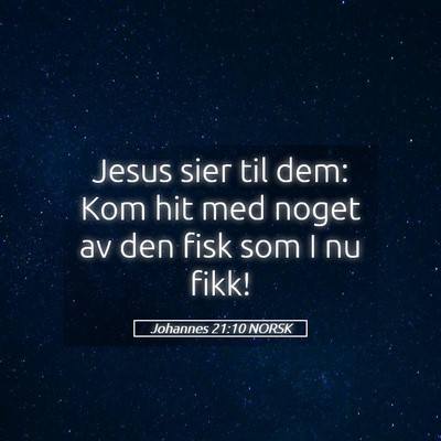 Picture 05 - Johannes 21:10 NORSK - Jesus sier til dem: Kom hit med noget av den fisk - Bible Verse Picture