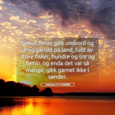 Picture 05 - Johannes 21:11 NORSK - Simon Peter gikk ombord og drog garnet på land, - Bible Verse Picture