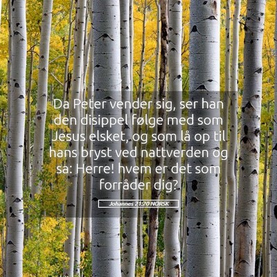 Picture 05 - Johannes 21:20 NORSK - Da Peter vender sig, ser han den disippel følge - Bible Verse Picture