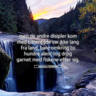 Picture 05 - Johannes 21:8 NORSK - men de andre disipler kom med båten(-)de var - Bible Verse Picture