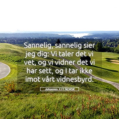 Picture 05 - Johannes 3:11 NORSK - Sannelig, sannelig sier jeg dig: Vi taler det vi - Bible Verse Picture