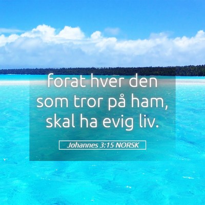 Picture 05 - Johannes 3:15 NORSK - forat hver den som tror på ham, skal ha evig - Bible Verse Picture
