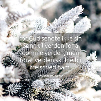 Picture 05 - Johannes 3:17 NORSK - for Gud sendte ikke sin Sønn til verden for å - Bible Verse Picture