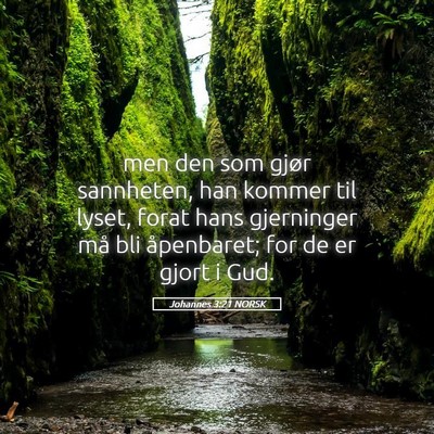 Picture 05 - Johannes 3:21 NORSK - men den som gjør sannheten, han kommer til - Bible Verse Picture