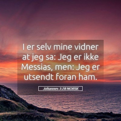 Picture 05 - Johannes 3:28 NORSK - I er selv mine vidner at jeg sa: Jeg er ikke - Bible Verse Picture