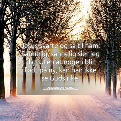 Picture 05 - Johannes 3:3 NORSK - Jesus svarte og sa til ham: Sannelig, sannelig - Bible Verse Picture