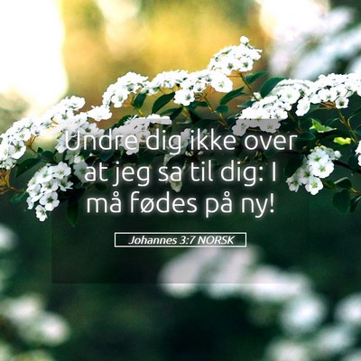 Picture 05 - Johannes 3:7 NORSK - Undre dig ikke over at jeg sa til dig: I må - Bible Verse Picture