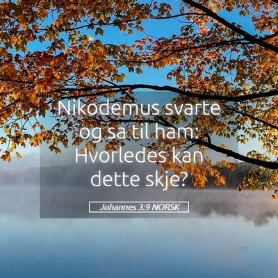 Picture 05 - Johannes 3:9 NORSK - Nikodemus svarte og sa til ham: Hvorledes kan - Bible Verse Picture