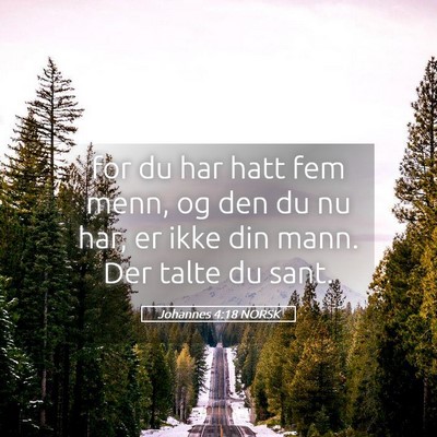 Picture 05 - Johannes 4:18 NORSK - for du har hatt fem menn, og den du nu har, er - Bible Verse Picture