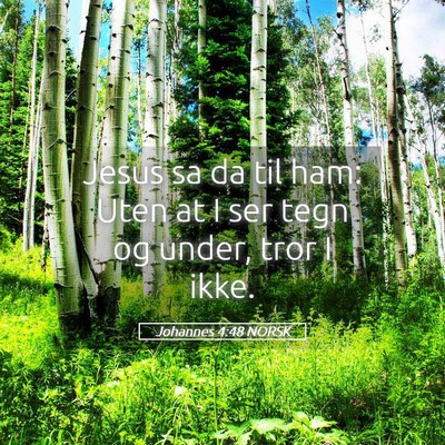 Picture 05 - Johannes 4:48 NORSK - Jesus sa da til ham: Uten at I ser tegn og under, - Bible Verse Picture