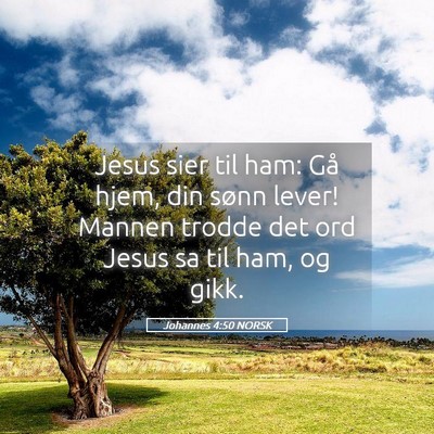 Picture 05 - Johannes 4:50 NORSK - Jesus sier til ham: Gå hjem, din sønn lever! - Bible Verse Picture