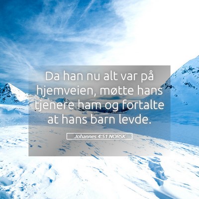 Picture 05 - Johannes 4:51 NORSK - Da han nu alt var på hjemveien, møtte hans - Bible Verse Picture