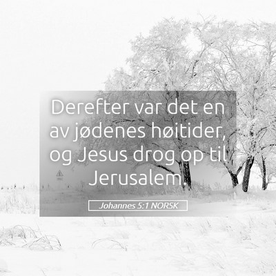 Picture 05 - Johannes 5:1 NORSK - Derefter var det en av jødenes høitider, og - Bible Verse Picture
