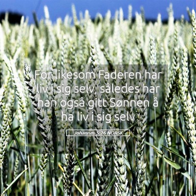 Picture 05 - Johannes 5:26 NORSK - For likesom Faderen har liv i sig selv, således - Bible Verse Picture