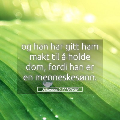 Picture 05 - Johannes 5:27 NORSK - og han har gitt ham makt til å holde dom, fordi - Bible Verse Picture