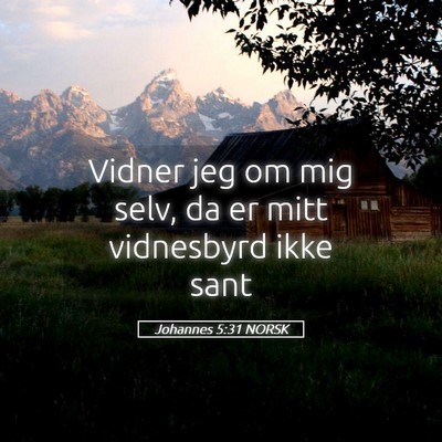 Picture 05 - Johannes 5:31 NORSK - Vidner jeg om mig selv, da er mitt vidnesbyrd - Bible Verse Picture