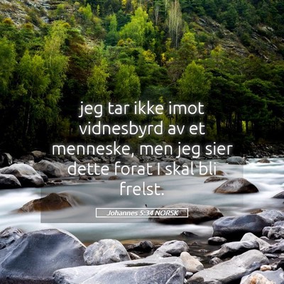 Picture 05 - Johannes 5:34 NORSK - jeg tar ikke imot vidnesbyrd av et menneske, men - Bible Verse Picture