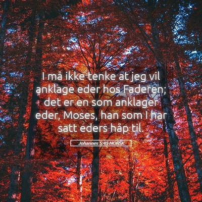 Picture 05 - Johannes 5:45 NORSK - I må ikke tenke at jeg vil anklage eder hos - Bible Verse Picture