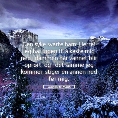 Picture 05 - Johannes 5:7 NORSK - Den syke svarte ham: Herre! jeg har ingen til å - Bible Verse Picture